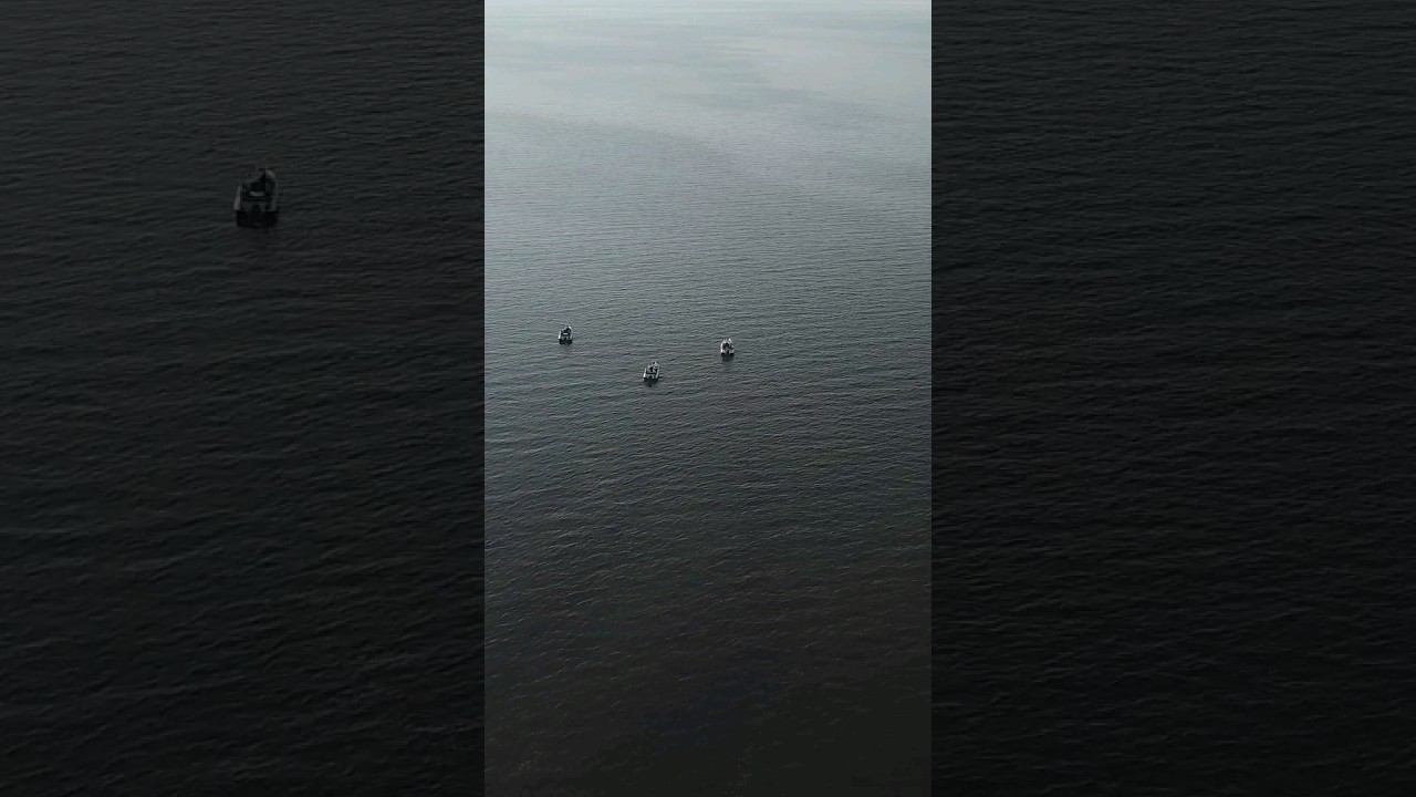 уникальные кадры смотреть онлайн