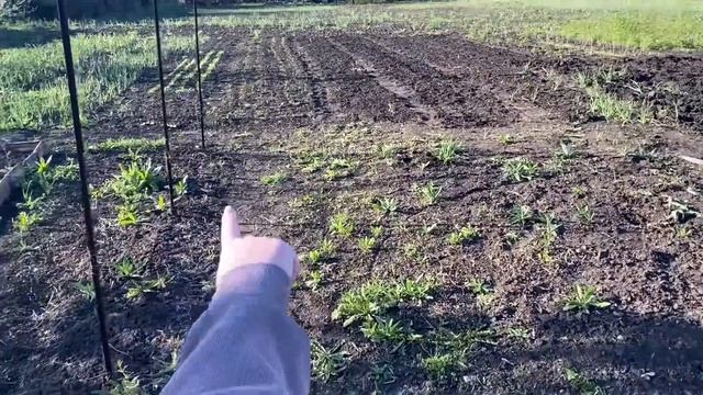 На скутере в деревню за Светой на тещин огород! смотреть онлайн