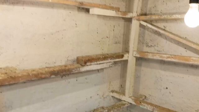 Прибор для Голубятни. Кормление голубей. Dovecote device. pigeon feeding. смотреть онлайн