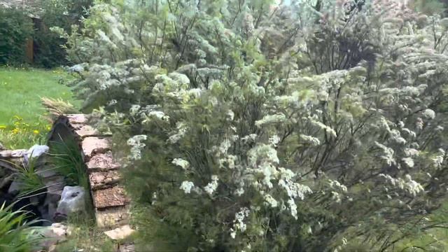 Медитация соединение с родом???4й лунный день? смотреть онлайн