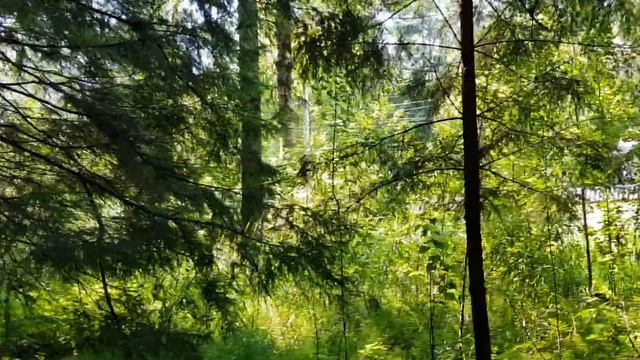 Продажа участка 14 соток п. Самар-1 Раменский р-он, эпизод 2 смотреть онлайн