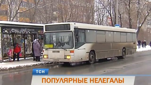 Популярные нелегалы. Маршруты, исключенные из единой маршрутной сети Перми, ширятся и множатся