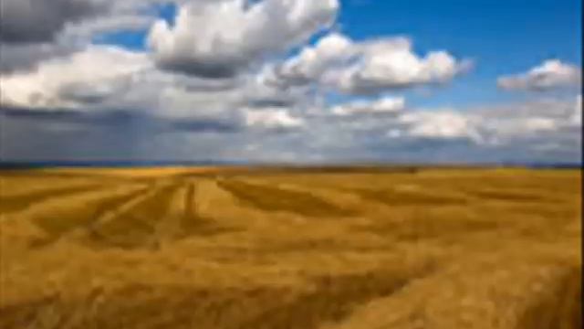 Френкель. Русское поле..wmv смотреть онлайн
