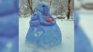 60 идей использования снега