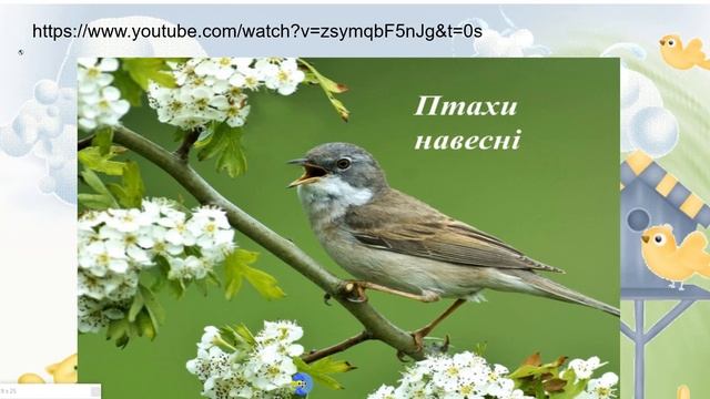 Я досліджую світ, 2 клас Тема Як птахи зустрічають весну Терещук О А смотреть онлайн