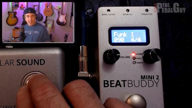 Singular Sound Beatbuddy Mini 2 Pro Tips Using the Footswitch смотреть онлайн