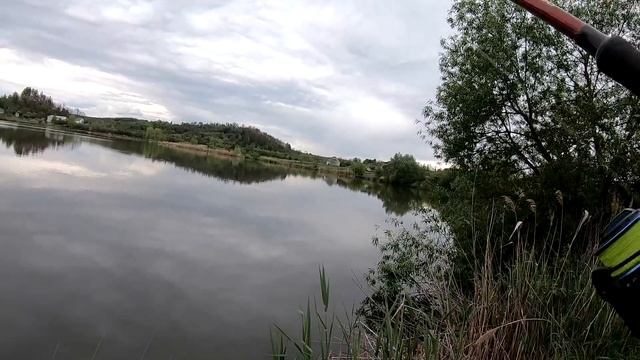 НАЧАЛОСЬ ТОЛСТОЛОБ УЖЕ КЛЮЕТ! ЛОВЛЯ ТОЛСТОЛОБА ВЕСНОЙ. рыбалка на толстолобика как и когда ловить. смотреть онлайн