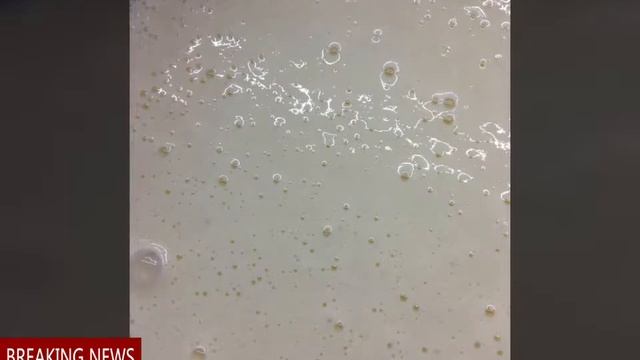 Кружевные блинчики смотреть онлайн