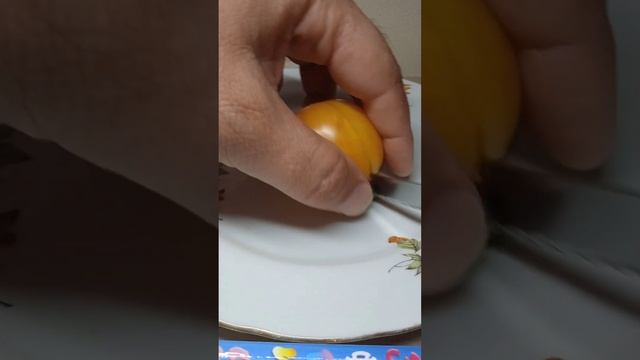 Обзор сорта томата Белая королева. смотреть онлайн