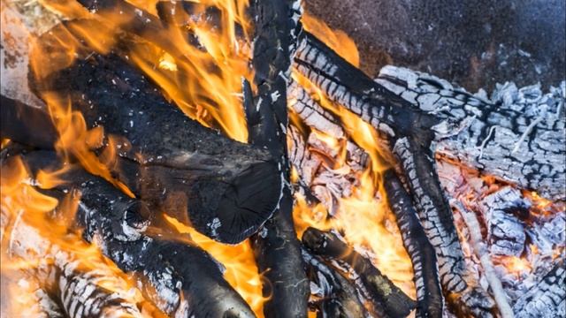 Какая зола самая полезная??