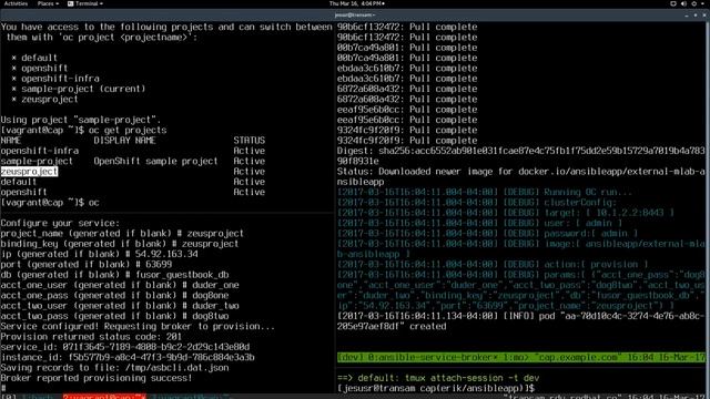 Sprint #3 - Ansible Service Broker BIND API смотреть онлайн