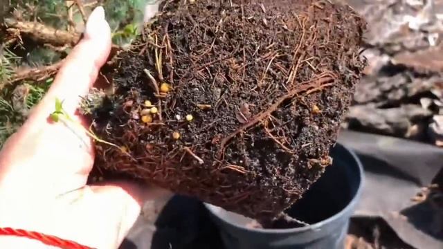 Итоги 2022 Как остановиться С каждым годом всё больше Что дальше смотреть онлайн