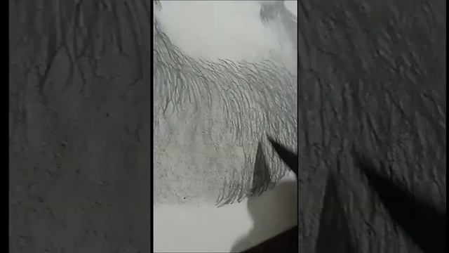 how to draw photo sketch #youtube #drawing #artist #sahibali #star смотреть онлайн