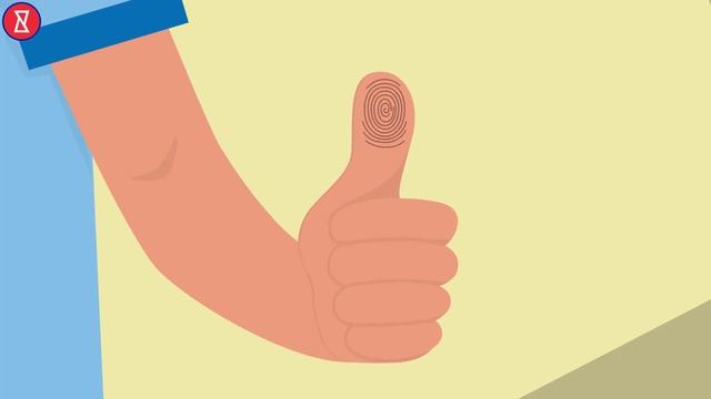 Что значат наши отпечатки пальцев? | Интереса Ради смотреть онлайн