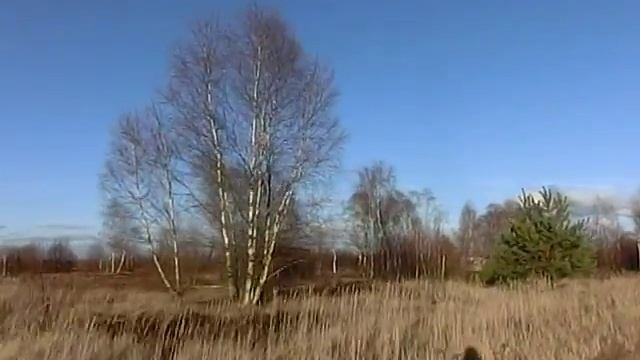 Ютербогскии полигон 14 02 2014 смотреть онлайн