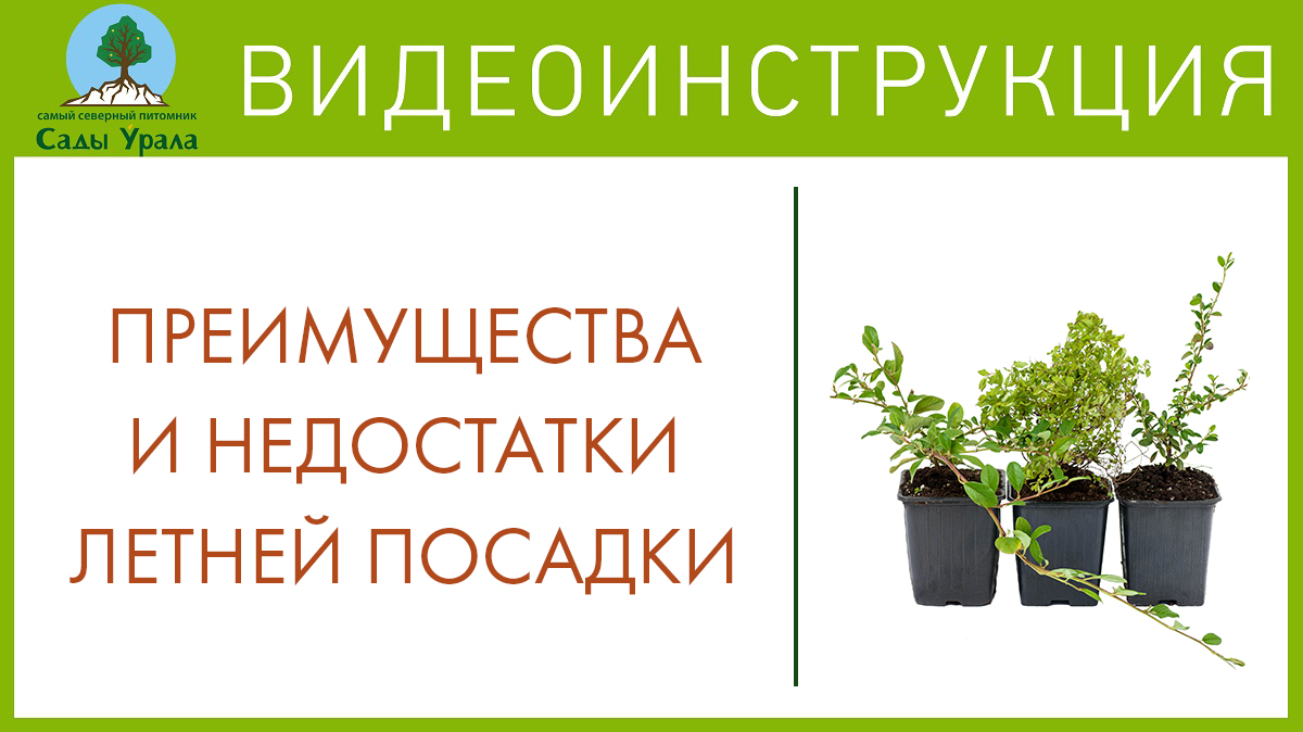 Летняя посадка плодовых саженцев. Сады Урала. Телепередача Земля Уральская. Архив 2011 год смотреть онлайн