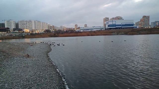 Новороссийск море горы утки смотреть онлайн