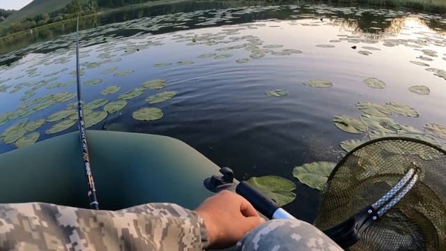 ЧУТЬ НЕ ПРОСПАЛ ! Дикий КАРАСЬ утаскивает ПОПЛАВОК !! Рыбалка в кувшинках. смотреть онлайн