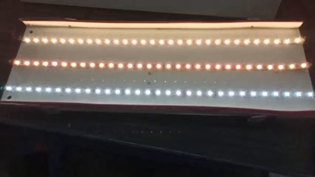 лампы для PDR ответы на вопросы 3 смотреть онлайн