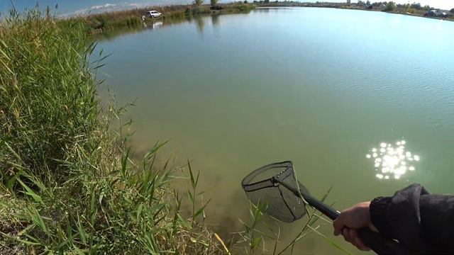 Сазан на ультралайт #top #рыбалка #2023 #карп #ультралайт #1k #спиннинг #fishing смотреть онлайн