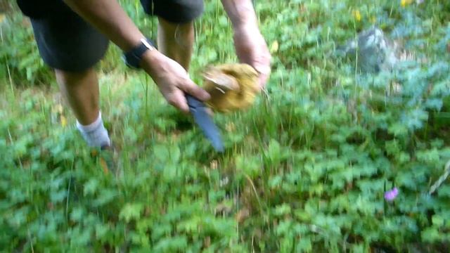 Raidops Black Tiger Mk2 N690 Co Steel смотреть онлайн