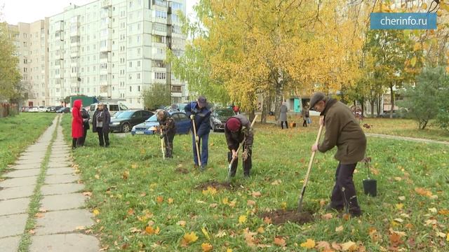 Совет дому Как посадить дерево смотреть онлайн