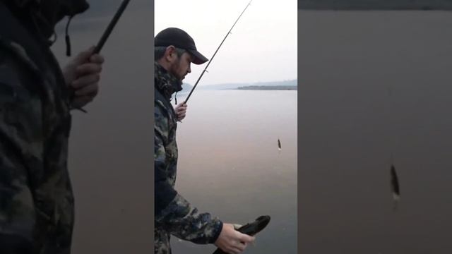 Летняя рыбалка в Якутии #якутия #клевая #рыбалка #клеваярыбалка #эхолот #первыйлед смотреть онлайн