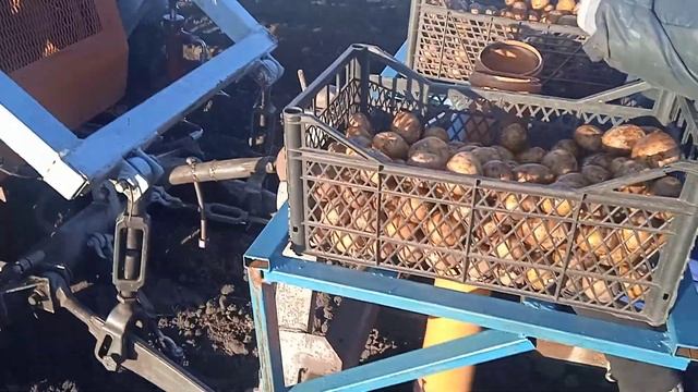 VID 20230508 184716 Самодельная картофелесажалка на трактор т 16 смотреть онлайн