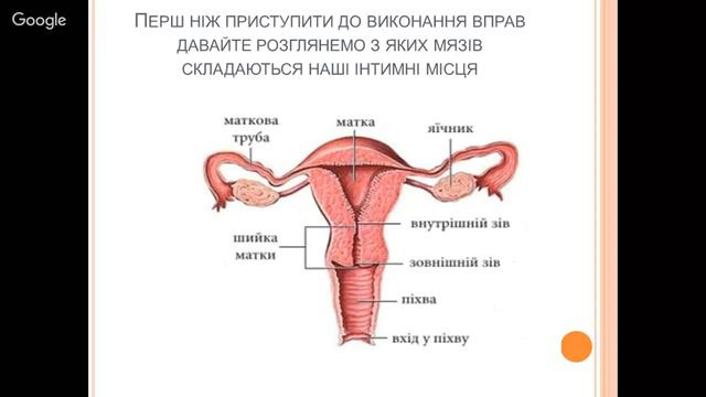 Вумбілдінг- запорука жіночого здоров'я. смотреть онлайн