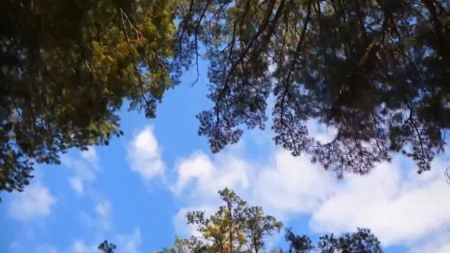 Реклама Забайкалье смотреть онлайн