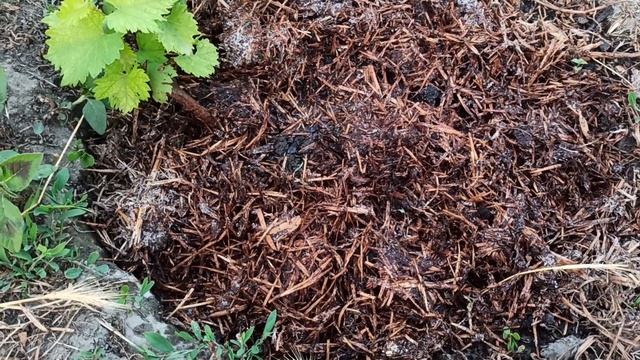 Стройка Плюс