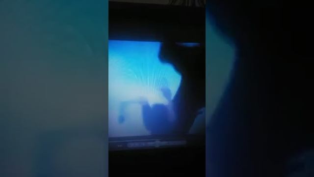 Спирит 2 потревоженный покой  вместе с тачками