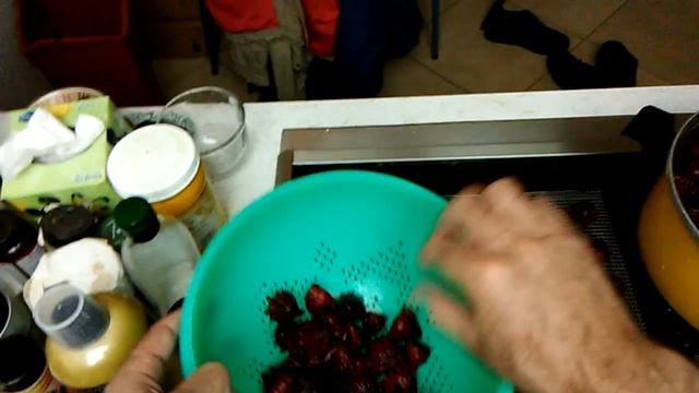 Hibiscus Sabdariffa Processing