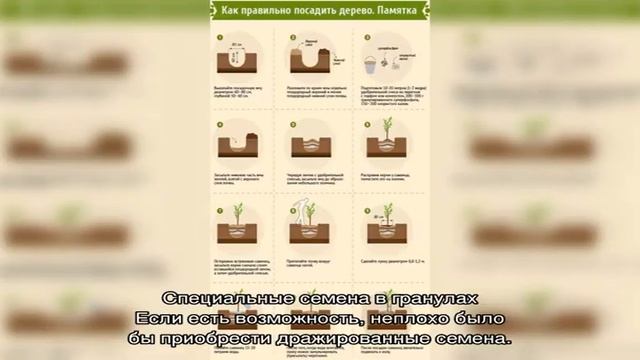 Как посадить морковь, чтобы не прореживать: 4 лучших способа смотреть онлайн
