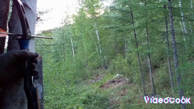 Чего то мишка мне стал надоедать! смотреть онлайн