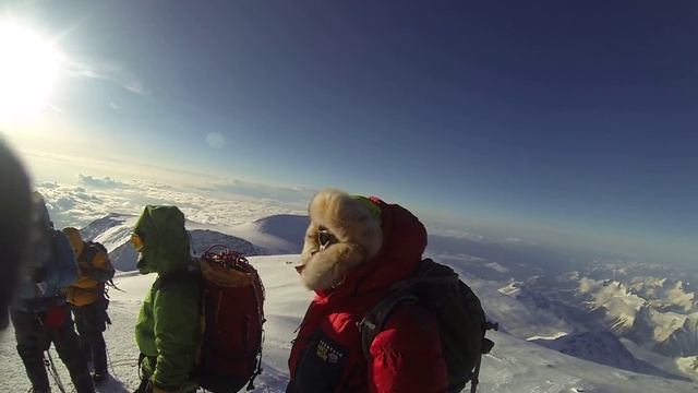 Восхождение на Мак-Кинли. Вершина за нами! смотреть онлайн
