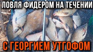 Ловля фидером на течении с Георгием Утгофом.