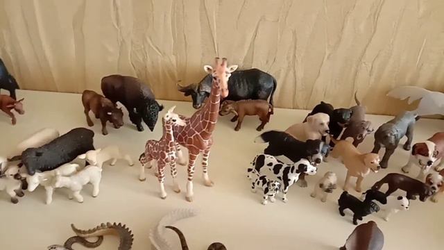 Коллекция фигурок диких и домашних животных - Schleich, Papo, Collecta смотреть онлайн