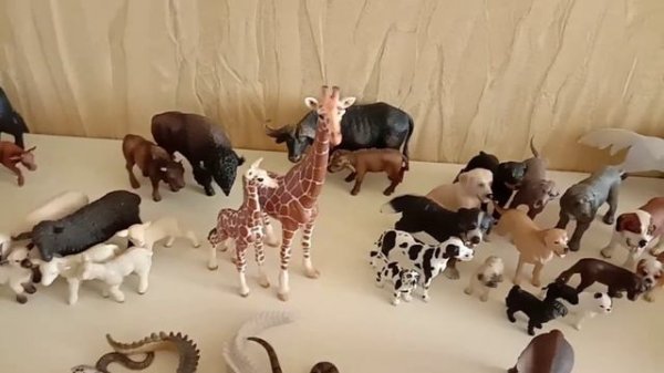 Коллекция фигурок диких и домашних животных - Schleich, Papo, Collecta