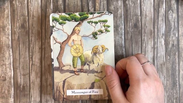 The Witches' Wisdom Tarot | Unboxing & First Impressions смотреть онлайн