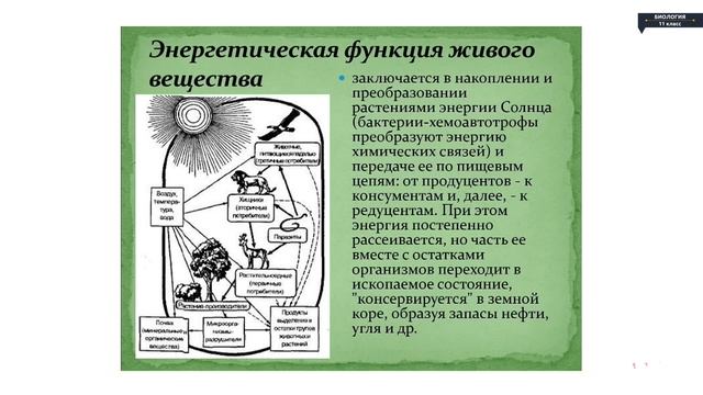 Биология - 11 класс - Биосфера. Ноосфера смотреть онлайн