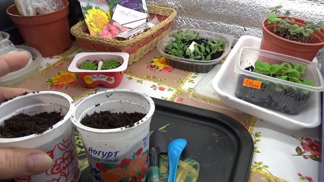 лобелия смотреть онлайн