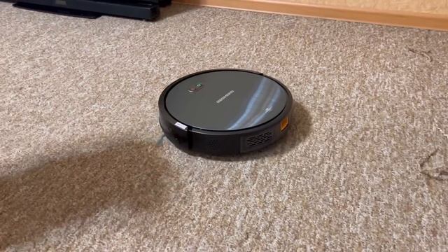 Panther Luna and scary robot vacuum cleaner ?? смотреть онлайн