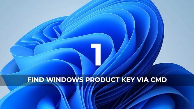 How to Find Windows 11/10/8/7/XP/Server Product Key with Windows Product Key Finder смотреть онлайн
