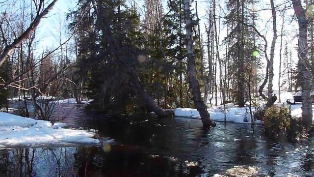 горячие парни смотреть онлайн