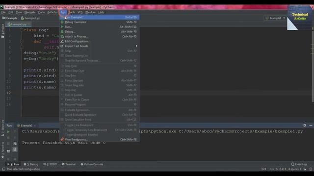 Types of Variables in OOP in Python | OOP Concepts | Python Tutorial for Beginners смотреть онлайн