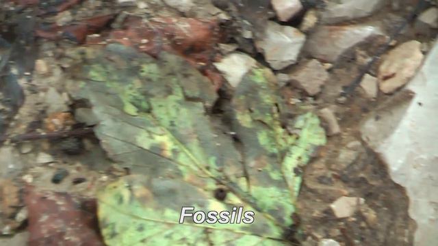 AC11 смотреть онлайн