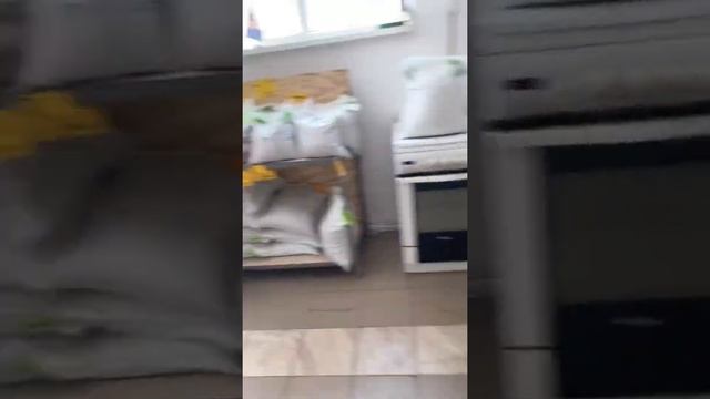 Утка ОРВИЯ ( ФРАНЦИЯ) смотреть онлайн