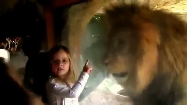 Повезло девке,что есть стекло смотреть онлайн