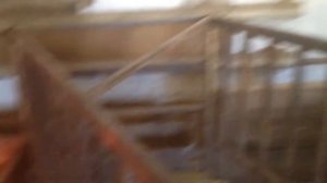 Станки для опороса свиноматок СВОИМИ руками